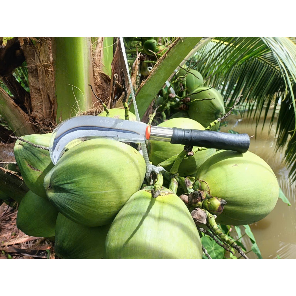 Dao Rửa Dừa 3 Tấc ( Mẫu Mới ) - Jubaoli Cán 16cm, lưỡi 14cm , bao, chất lượng mới. Dùng để cắt lưới dừa, cắt cỏ