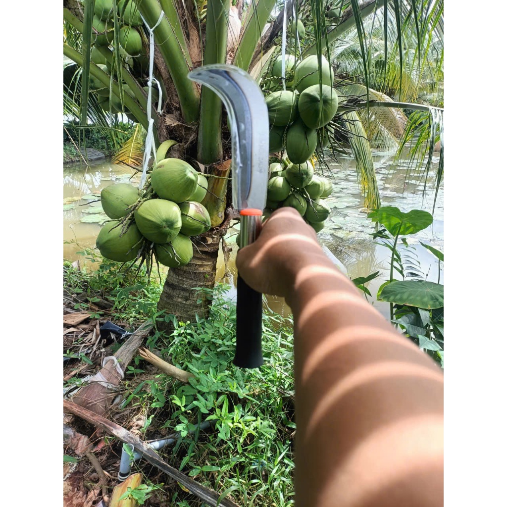 Dao Rửa Dừa 3 Tấc ( Mẫu Mới ) - Jubaoli Cán 16cm, lưỡi 14cm , bao, chất lượng mới. Dùng để cắt lưới dừa, cắt cỏ