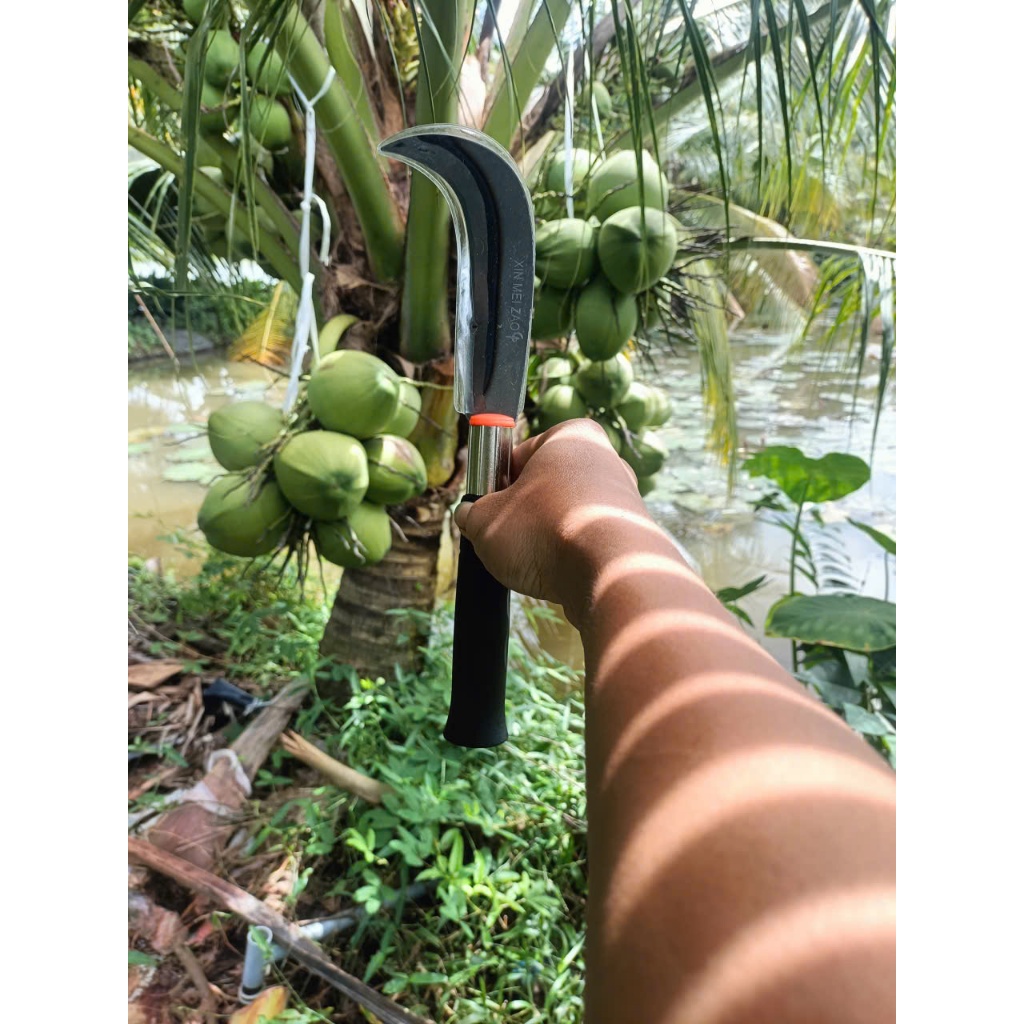 Dao Rửa Dừa 3 Tấc ( Mẫu Mới ) - Jubaoli Cán 16cm, lưỡi 14cm , bao, chất lượng mới. Dùng để cắt lưới dừa, cắt cỏ