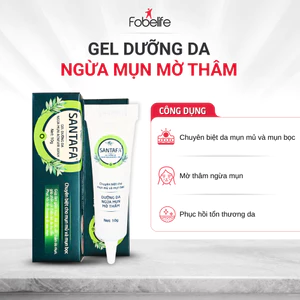 3 Tuýp Kem Giảm Mụn Mủ, Mụn Bọc, Mụn Trứng Cá Acnevir Santafa Fobe tuýp 10gr