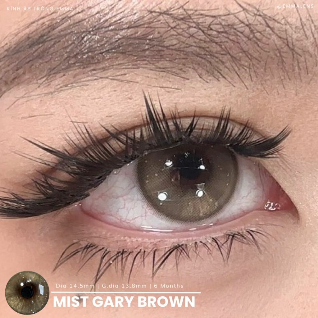 Kính Áp Tròng Mist Gary Brown | Lens Nâu Giãn To | Emma Lens