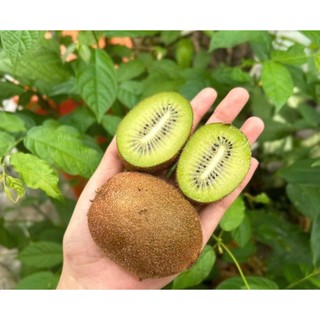 [ HOẢ TỐC ] [ JENNY FRUIT ] Giỏ quà tặng trái cây kèm bông BT201
