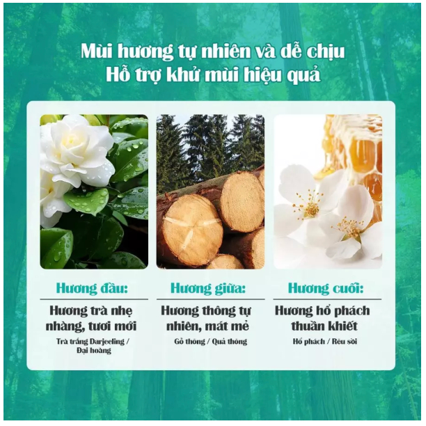 Chất Lượng Nước Tẩy Bồn Cầu Flashman 500G - Diệt Khuẩn 99.9% - Khử Mùi