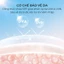 Sữa dưỡng thể kem chống nắng body SPF 30+ PA+++ Grace and Glow làm trắng da Black Opium Sun Body Serum 100ml nâng tone