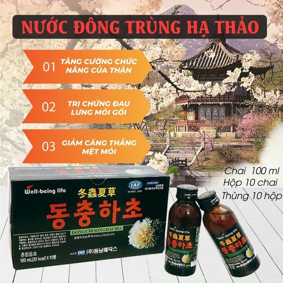```Combo 10 chai nước Đông Trùng Hạ Thảo - 10 lọ x 100ml cho sức khỏe và tăng cường sức đề kháng``` ( hàng mới về )