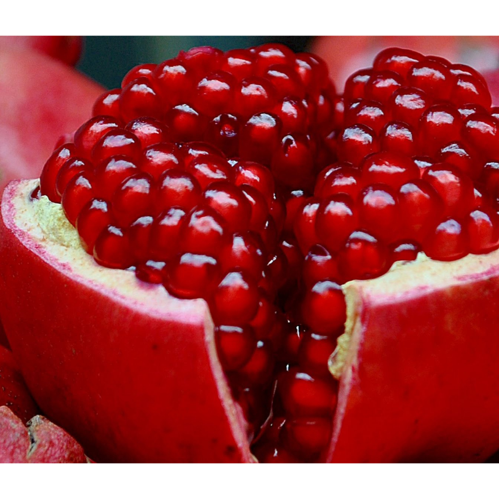 HƯƠNG LỰU NGỌT (POMEGRANATE SD) 5mL 10mL 25mL