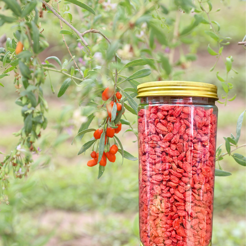 Kỷ Tử Đỏ Ninh Hạ Hũ 500g - Hàng Mộc Loại 1, Hạt To, Ngọt Thanh Không Lưu Huỳnh, Không Đường, Sấy Khô Tự Nhiên Luka Food