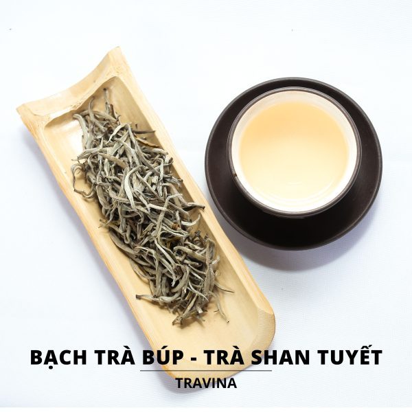 Bạch Trà Shan Tuyết Cổ Thụ 500G | Bạch Trà Quý Hiếm Thu Hái Thủ Công | Trà Sạch Nguyên Chất
