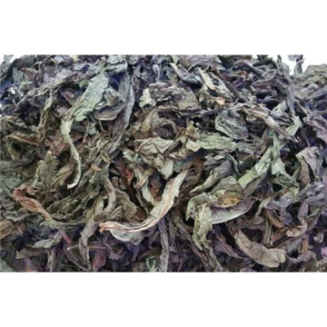 cây bồ công anh 500g -1kg