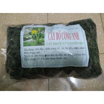 cây bồ công anh 500g -1kg