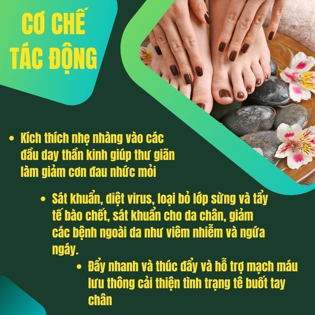 Túi Ngâm Chân đông y - Bội Lan Đường - Mất Ngủ, Đau Xương Khớp, Mồ Hôi Chân, Thải Độc - Túi 20 lọc