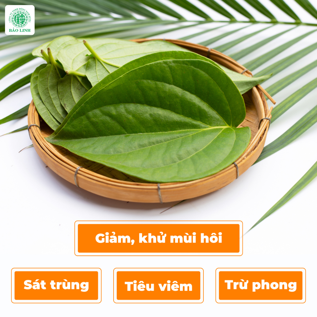 Dung dịch vệ sinh phụ nữ Bảo Linh Habeme 100ml - Dạng tạo bọt, chiết xuất từ thiên nhiên pH 4-5, Giúp bạn luôn tự tin