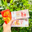 Combo 100 Tờ Tiền Con Ngựa Macao 100 Bảo An - Kỷ Niệm Lì Xì Tết Bính Ngọ 2026