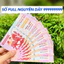 TIỀN SỐ ĐẸP, Đổi tờ t.iền Macao 1 Triệu hình con Ngựa lì xì tết, tặng bao lì xì