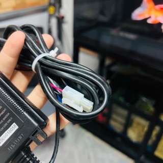 Nguồn điện tử Radian Karofi 24V 1.5A Radian (Có giấc)