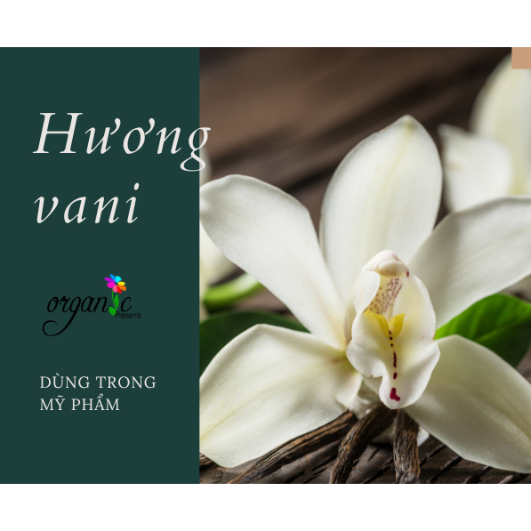 HƯƠNG VANI (VANILLA FR) 5mL 10mL 25mL
