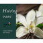 HƯƠNG VANI (VANILLA FR) 50mL 100mL