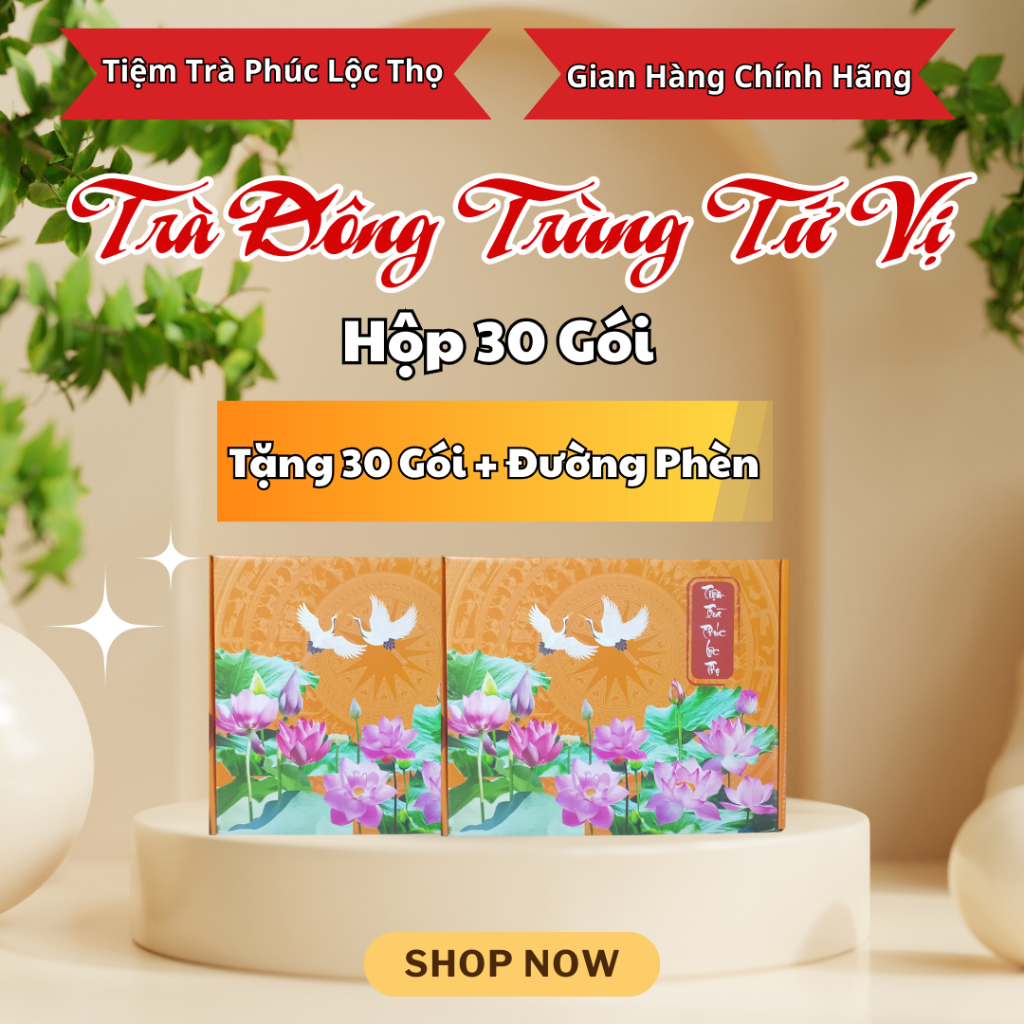 Trà Đông Trùng Tứ Vị  - Hộp 30 Gói Tặng 30 Gói + Đường Phèn - Tổng Nhận 60 Gói  - Lưu ý: TRONG HỘP 40 GÓI + 20 GÓI NGOÀI