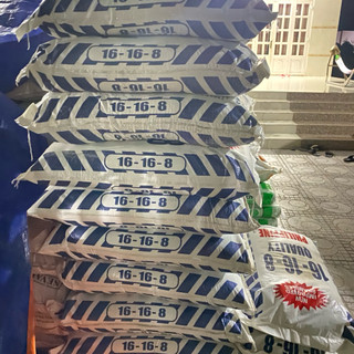 (1Kg) Phân NPK 16-16-8 Philippines tan nhanh giúp cây ra chồi, xanh lá, lớn nhanh cây rau, hoa kiểng, cây ăn trái