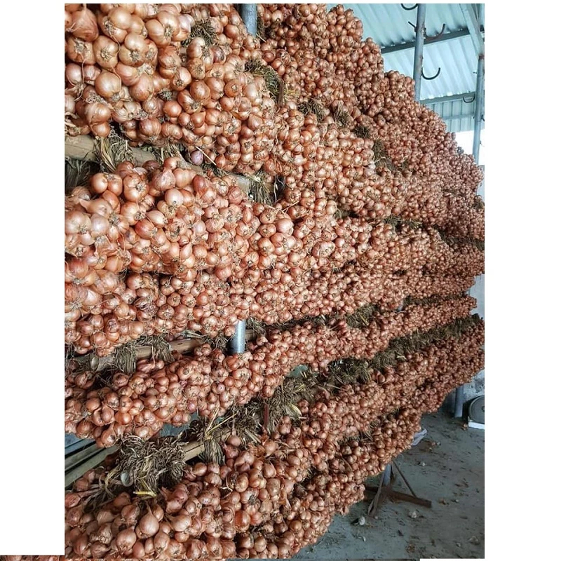 Hành ta khô Kinh Môn Hải Dương đã chọn lọc