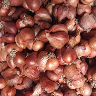 Combo 1kg tỏi Ta + 1kg Hành ta Kinh Môn Hải Dương chon lọc loại 1 .Cam kết hàng chuẩn.