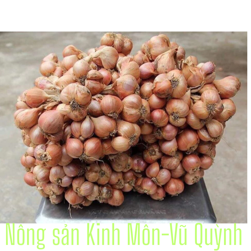 Hành ta khô Kinh Môn Hải Dương đã chọn lọc