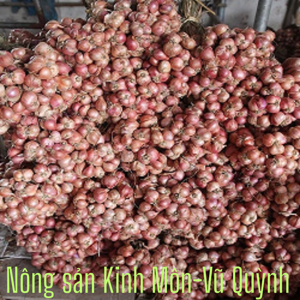 Hành Bắc khô loại 1 đã chọn lọc Hải Dương