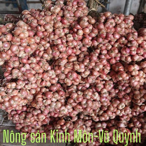 Hành Bắc khô loại 1 đã chọn lọc Hải Dương