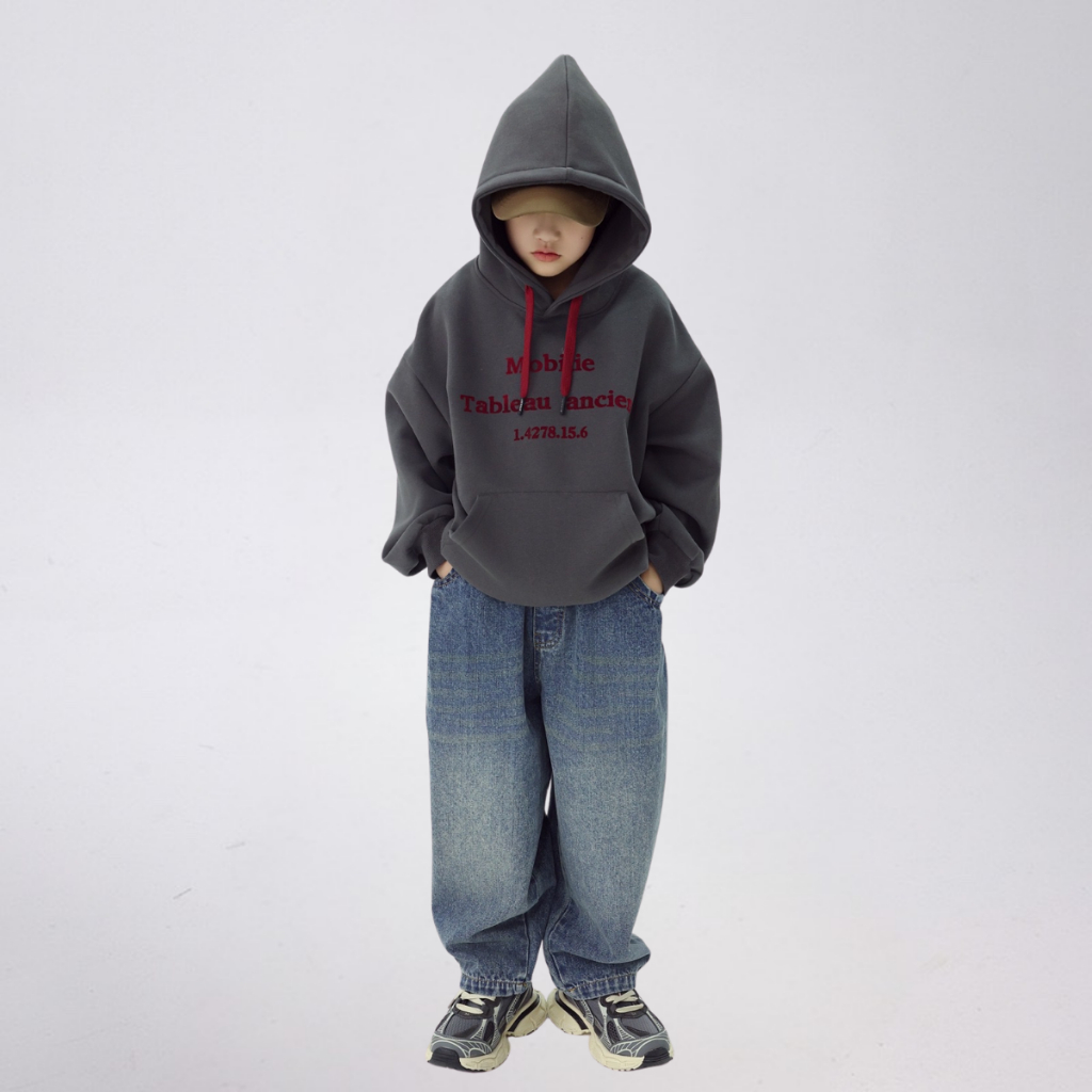 Áo Hoddie Thu Đông Cho Bé Trai, Bé Gái chất liệu Cotton nỉ bông Mềm Ấm B749 | JJ Kids Fashion