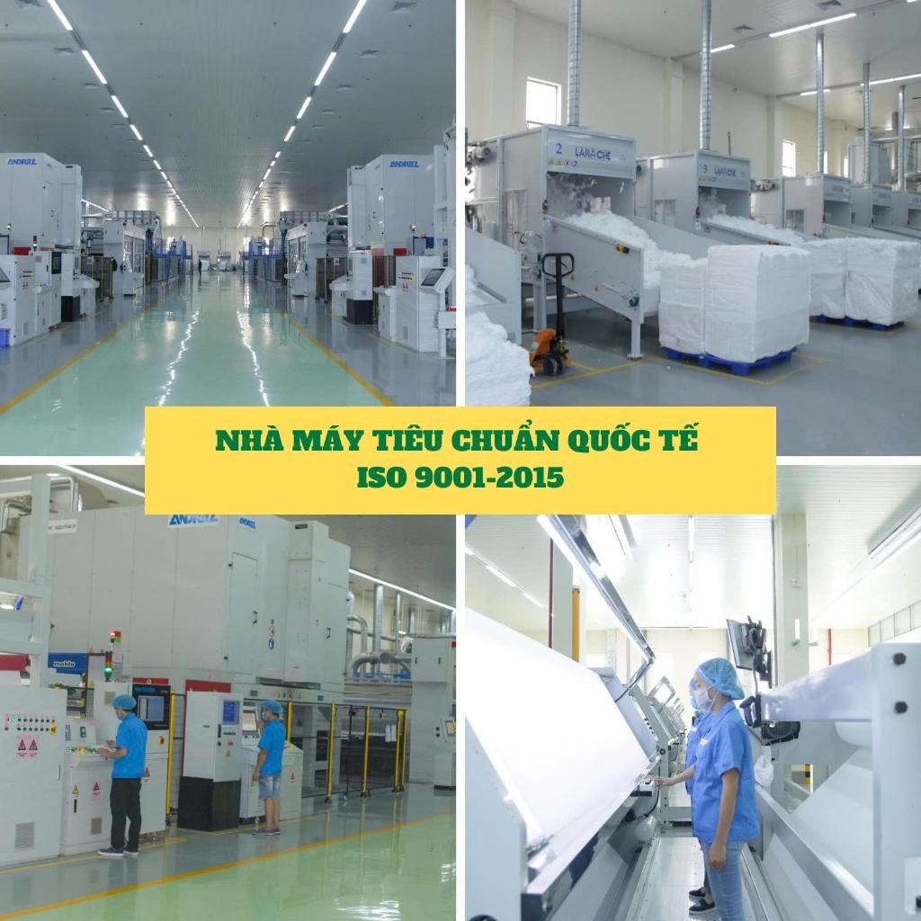 {LINK GỘP} Bông Tẩy Trang Emalia Organyc Cotton Tự Nhiên Mềm Mại Êm Dịu , bông tẩy trang cao cấp