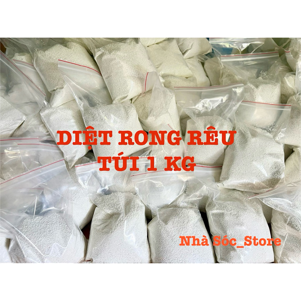 Bột Diệt Rong Rêu - Tẩy Rong Rêu - Chlorine (Túi 0,5kg - 1 kg - 2kg ...