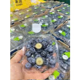 [ Ship Hỏa Tốc TP HCM ] 1 hộp Việt quất U.S.A (125g) Nam Phi ống (200g)