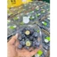 1 hộp Việt quất U.S.A (125g) Nam Phi ống (200g)