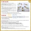 BoardGame Bài Bang! Cơ Bản Việt Hoá 103 Lá Hộp Giấy Nhỏ Gọn, Tiện Lợi Giải Trí Cho Hội Nhóm