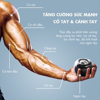 Bóng tập cổ tay Gyro Ball kim loại cao cấp hỗ trợ tập gym, thể thao, phục hồi cơ tay BTCT550