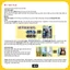 BoardGame Splendor Chip Giấy Cứng, Việt Hóa 100% Độc Đáo Dùng Trong Các Buổi Vui Chơi