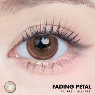 Kính áp tròng VIVIMOON EYECONIC lens cận cho mắt thở màu nâu Fading Petal, giãn tròng to baby 14.5mm hạn sử dụng 6 tháng