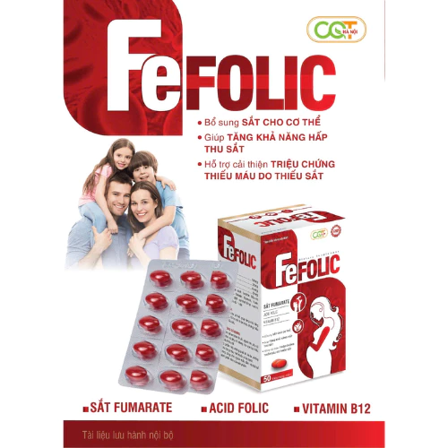 Hộp 50 Viên sắt HỮU CƠ cho bà bầu và người thiếu sắt-bổ sung sắt-acid folic, vitamin tăng tái tạo máu