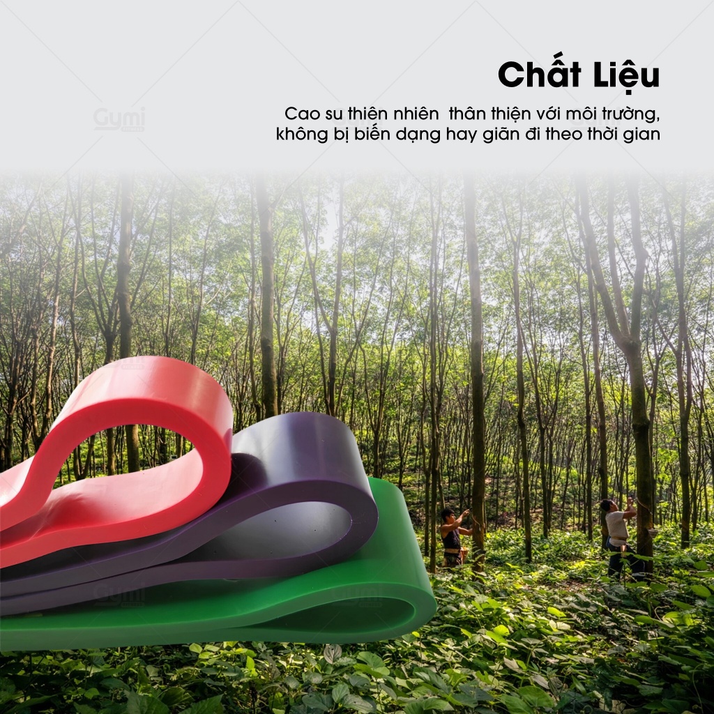 Dây Kháng Lực Superband Tập Mông, Chân, Đùi - Dây Superband Hỗ Trợ Tập GYM Tại Nhà - Superband