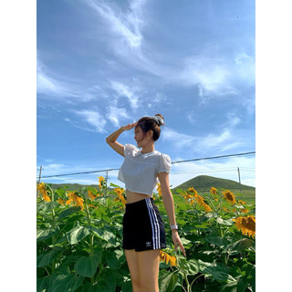 Le rouge | Poppy top Áo sơ mi crotop tay bồng cổ sen xếp li