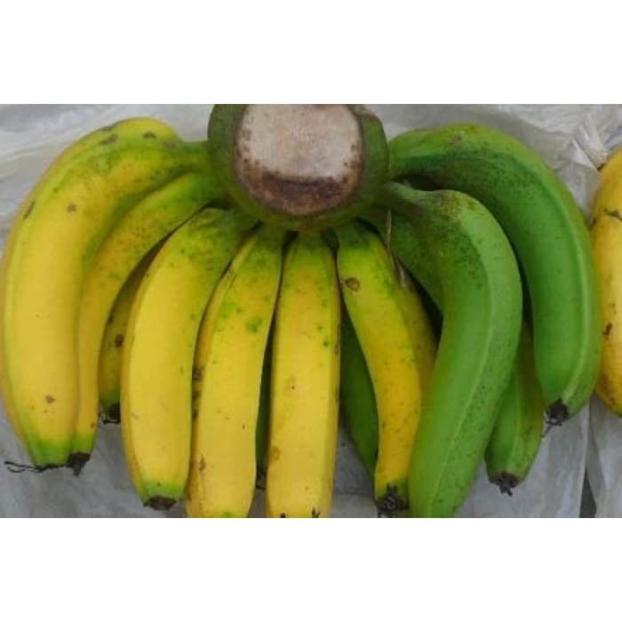 COMBO 1 Kg QUẢ CHUỐI XANH kvt (CHUỐI TÂY/CHUỐI TIÊU XANH/TIÊU HỒNG )