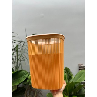(R45) Sọt Rác Nhựa Có Viền Cố Định Túi Rác - Sọt Đan Sọc Đựng Vật Dụng Cá Nhân - Sọt Vuông 15L Nhựa PP. 23.5×27.5cm