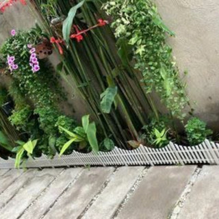 Hàng Rào Ghép Nhựa Trang Trí Sân Vườn, Bồn Hoa – Kích Thước 60x33, 72x42, 80x52 – Che Chắn Vườn Cây