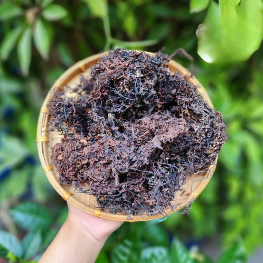 Rong Biển Khô, Rong Mơ, Rong Đen, Nguyên Liệu Nấu Nước Sâm, Nước Mát