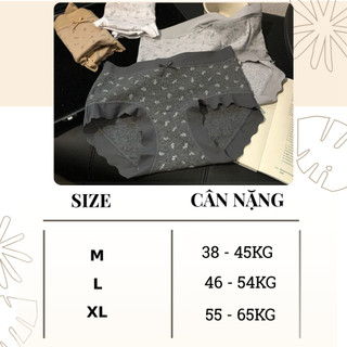 Quần lót nữ cotton cao cấp kháng khuẩn khử mùi 10A, Quần chip nữ cạp cao tôn dáng gợi cảm L758