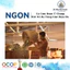 Nước Mắm Truyền Thống Nhà Koii , Nước Mắm Cốt Cá Cơm Vạn Phần Không Chất Phụ Gia