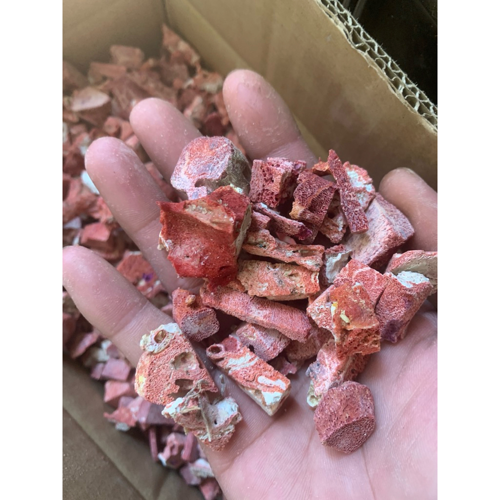 vụn san hô đỏ 1kg