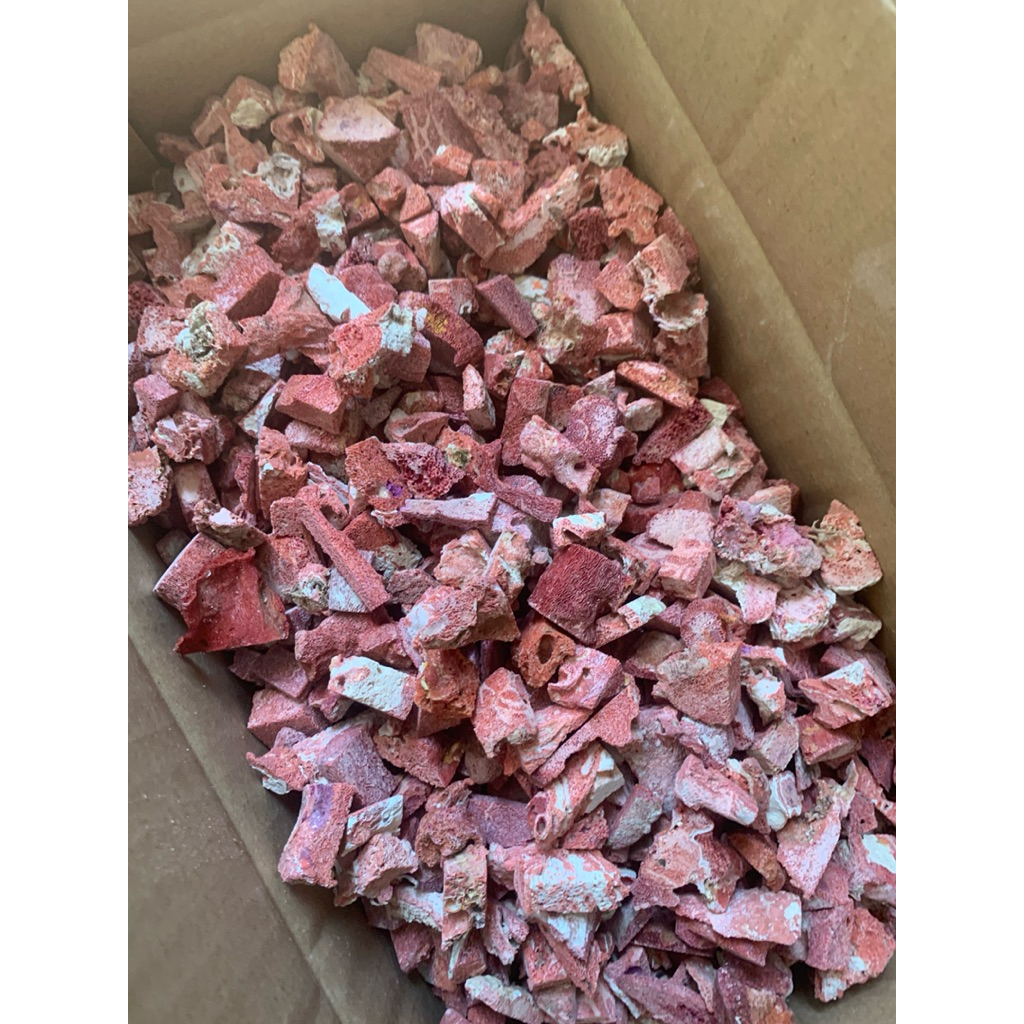 vụn san hô đỏ 1kg