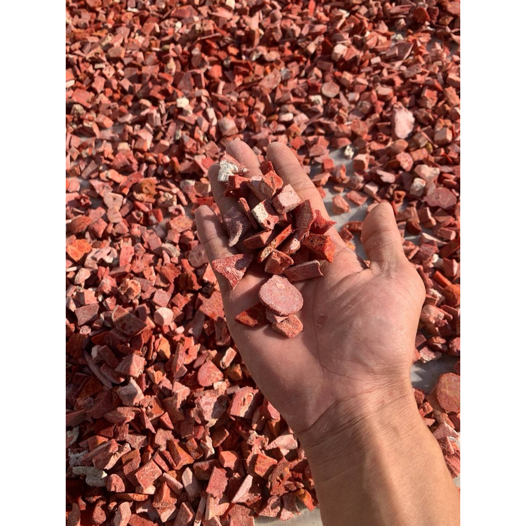 vụn san hô đỏ 1kg