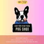 Bộ Hình In, Ủi Nhiệt Sticker Pug Ngộ Nghĩnh 03 - CP8 PET Sticker